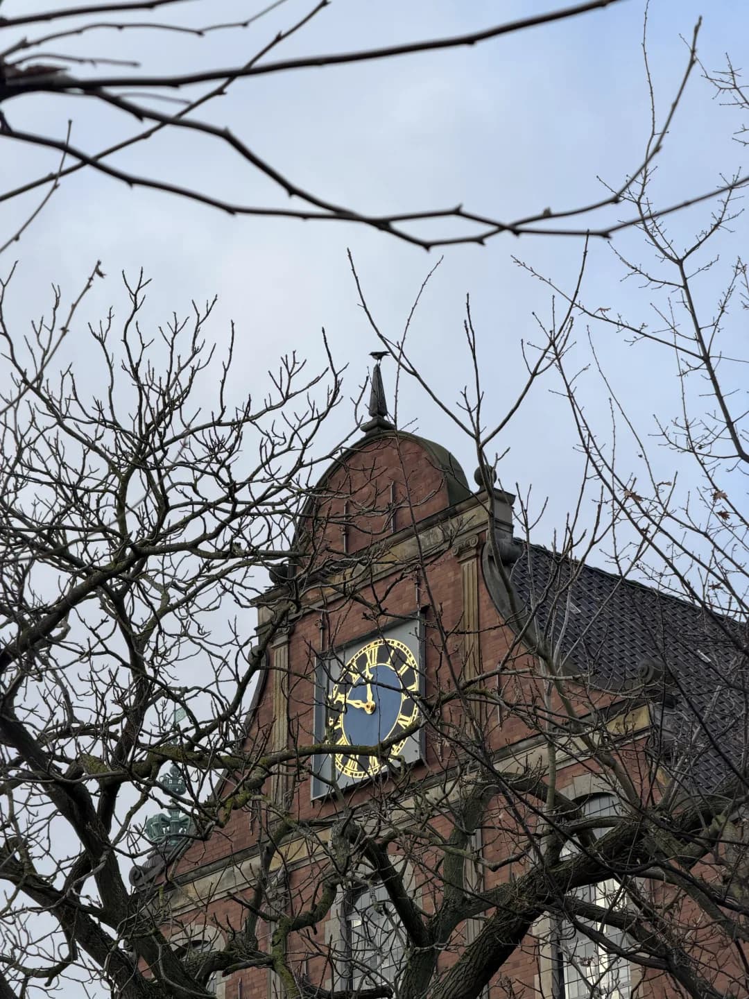 Torre do relógio entre galhos em Christianshavn, Copenhague